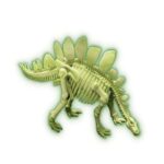 Образователен комплект Donosaur DNA Stegosaurus 4M ДНК на Стегозавър скелет