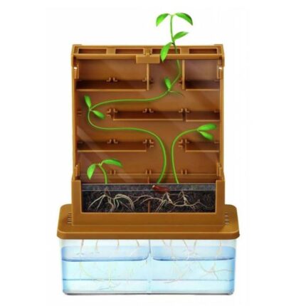 Образователен комплект Grow a Maze Растителен лабирит