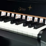 klasichesko detsko piano Fantasy v cheren tsvyat (4)